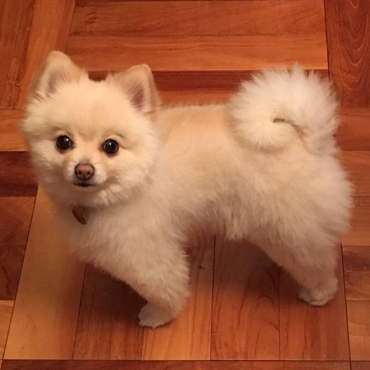 Ab1bebc3 495c 4ca0 a2a0 6937b83f44ce 1550662734075