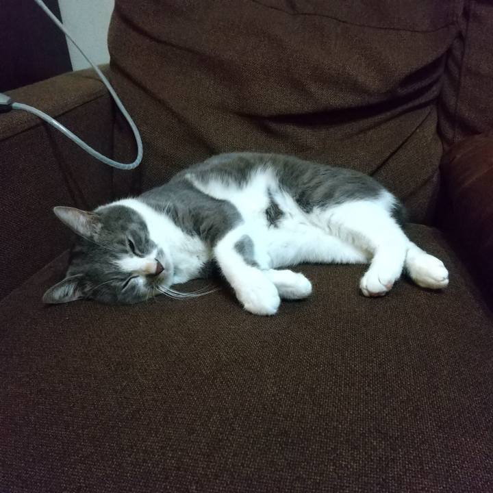 Ab1bef77 8af3 4f1f a119 7b32ff820622 1635079296060