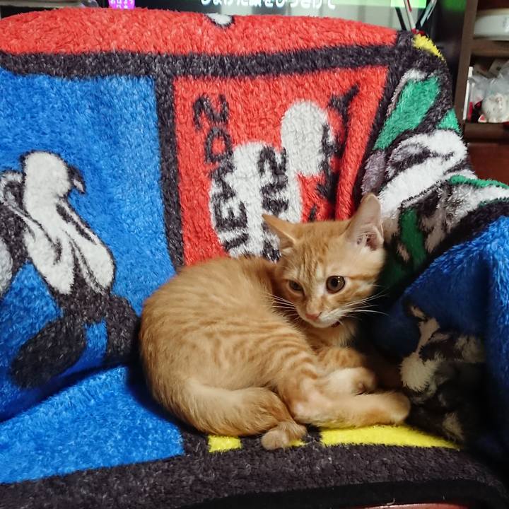 Ab1c0b29 9ef3 4aa3 a02f c8fe596451ac 1631231955102