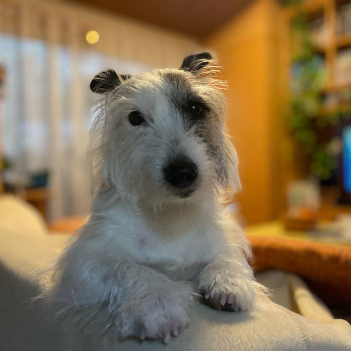 Ab1c49cc bab0 4901 a714 34124457678d 1735776619007