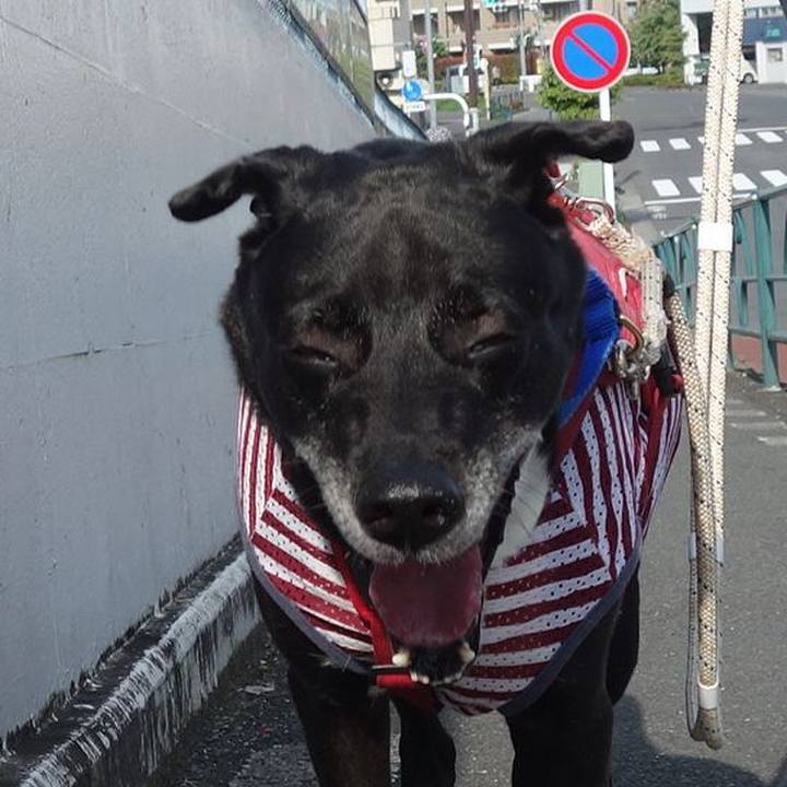 Ab1c827a 4d87 449e ad31 9c24b578b3de 1687049098230