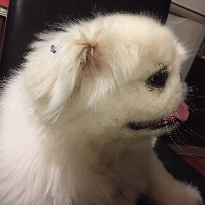 Ab1c8c1e fc0c 421d 9077 418eb2dc2181 1509627239498