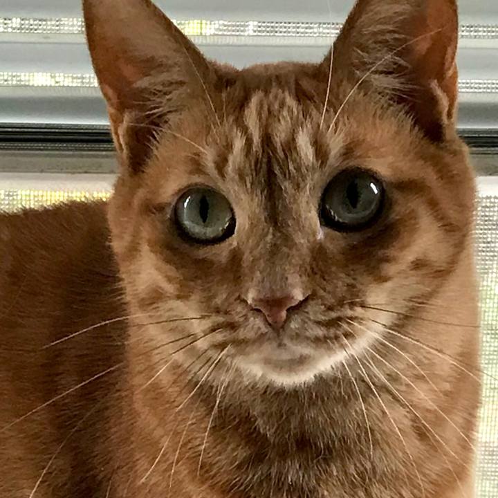 Ab1cb176 1de1 42e3 8f80 f4497202755b 1574829140469