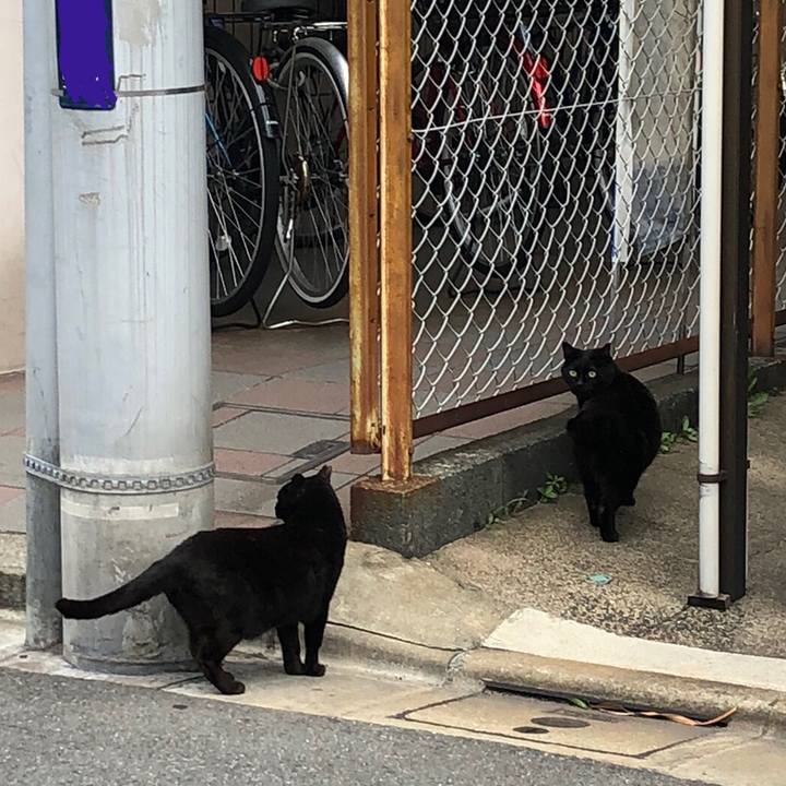 Ab1ccabd 6955 4b12 a422 ca6471611bed 1621177107124