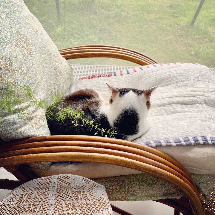 Ab1cf510 b891 4ce7 8318 06f3d35f41a0 1596410722208