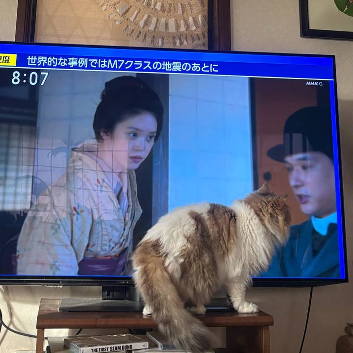 Ab1cfd4d 04f8 43dc bf91 b6337611e926 1765235836571