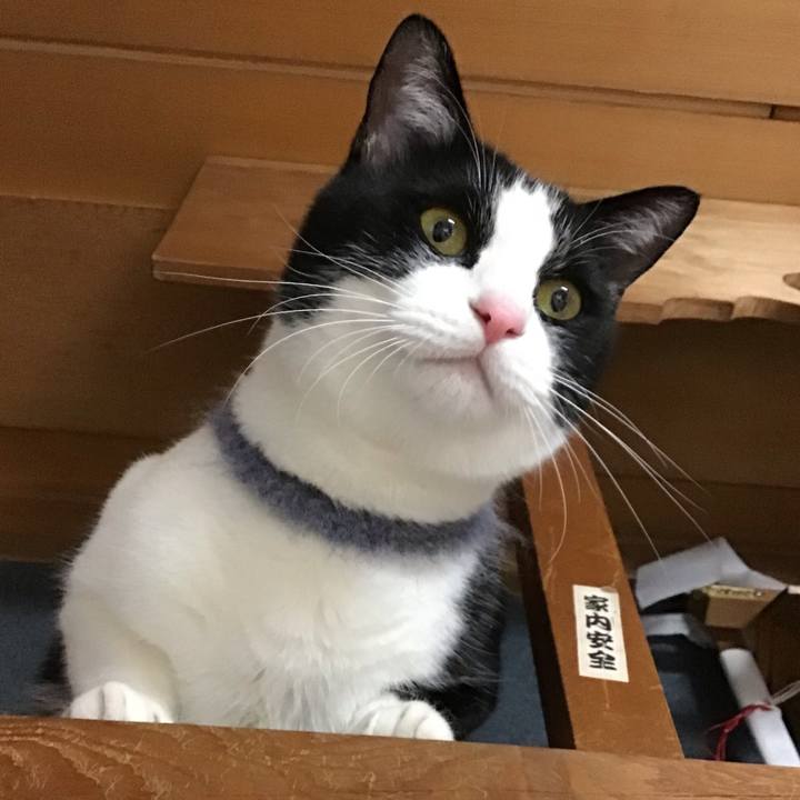 Ab1d0d77 1ffe 43c4 af7c 1f332e6b3064 1671714878837