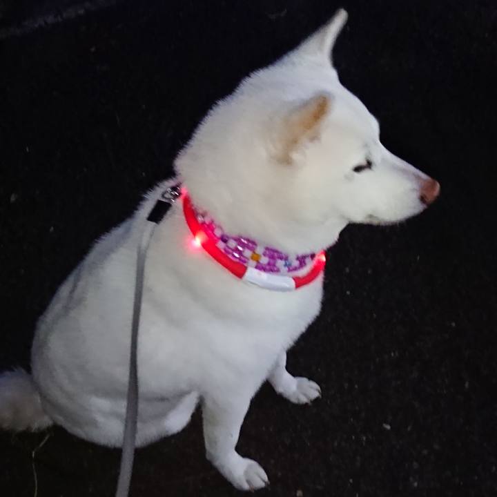 Ab1d4750 3f97 4338 ab98 7d47fff01b0c 1570524017843