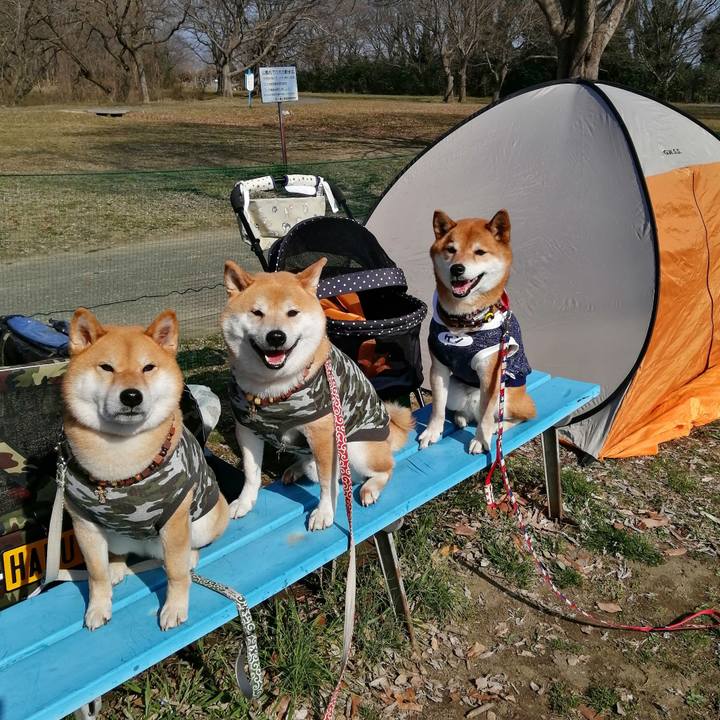 Ab1d669f 88f0 4f74 a1ed 2ed38d4d7508 1646491697924