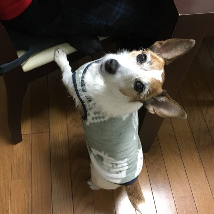 Ab1d7d8b 65a9 4c79 b5ee d6e5a56ed3f8 1618962776323