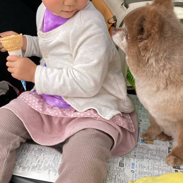 Ab1d872b 7066 4fbf 8606 9103d3fb1c18 1654320538267