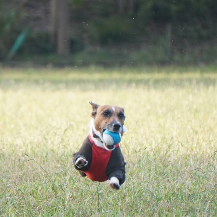 Ab1d95e7 21e9 44e4 9d39 aad5683da567 1539991246125