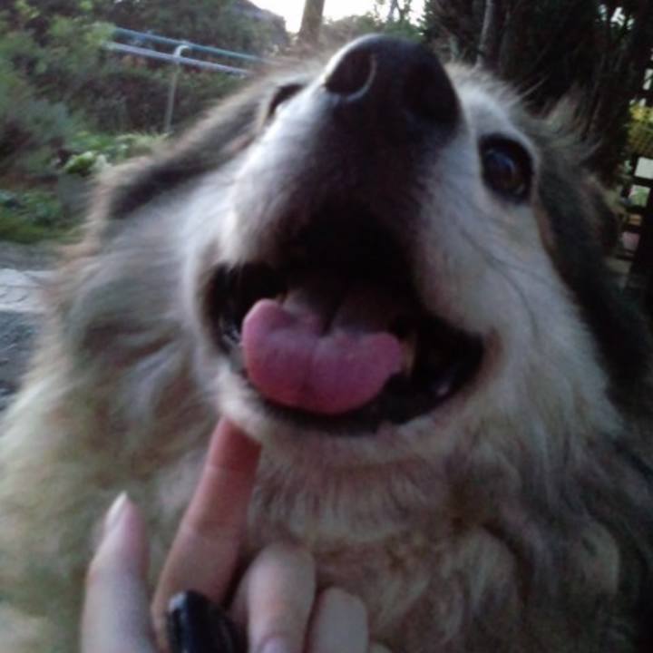 Ab1da245 d191 4603 9943 6748969c0d1f 1592413754256