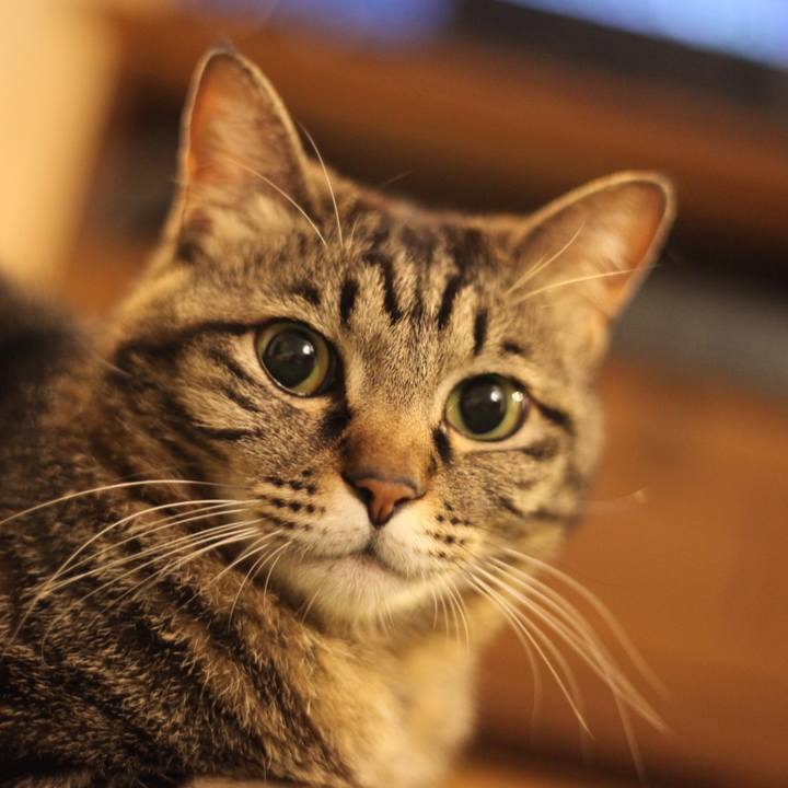 Ab1dac0b 6bfc 445b bbc3 f9eeb69eb315 1655689972226