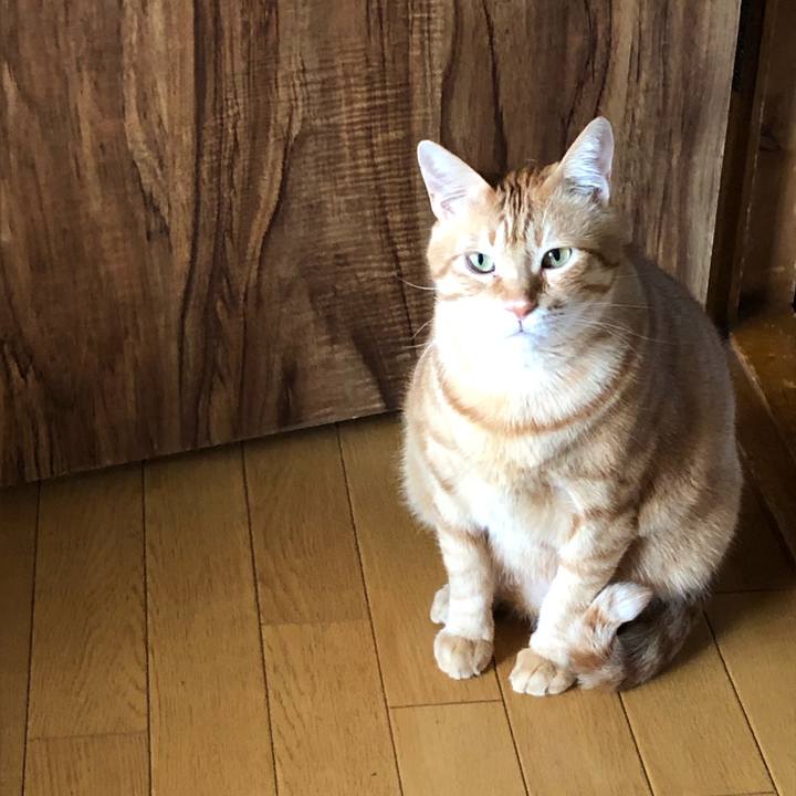 Ab1dc9fc 37e4 4885 8d1b 9d57bd329724 1573433098002