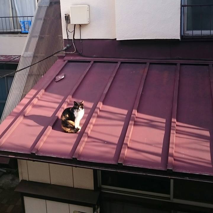 Ab1df8bc 8dc2 4bca b8c6 ebf060f82994 1519776532172