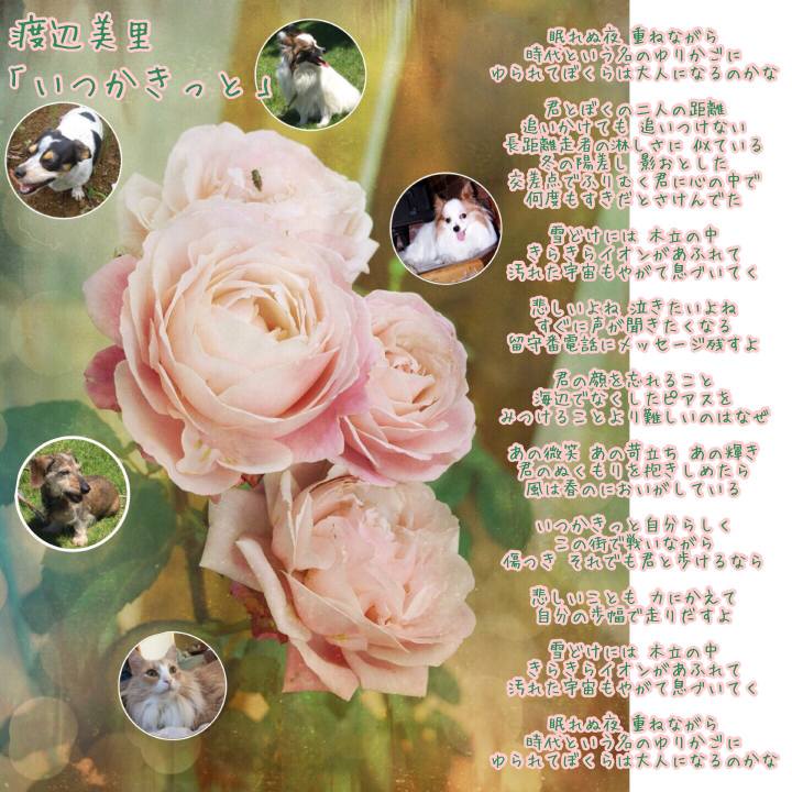 Ab1e0d73 2c87 45c0 9ca6 1898bb5ceb35 1522019518067