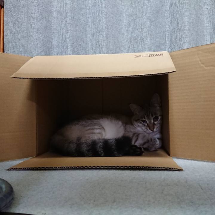 Ab1e4521 4172 4d7e a096 97ed5776417c 1597321383802