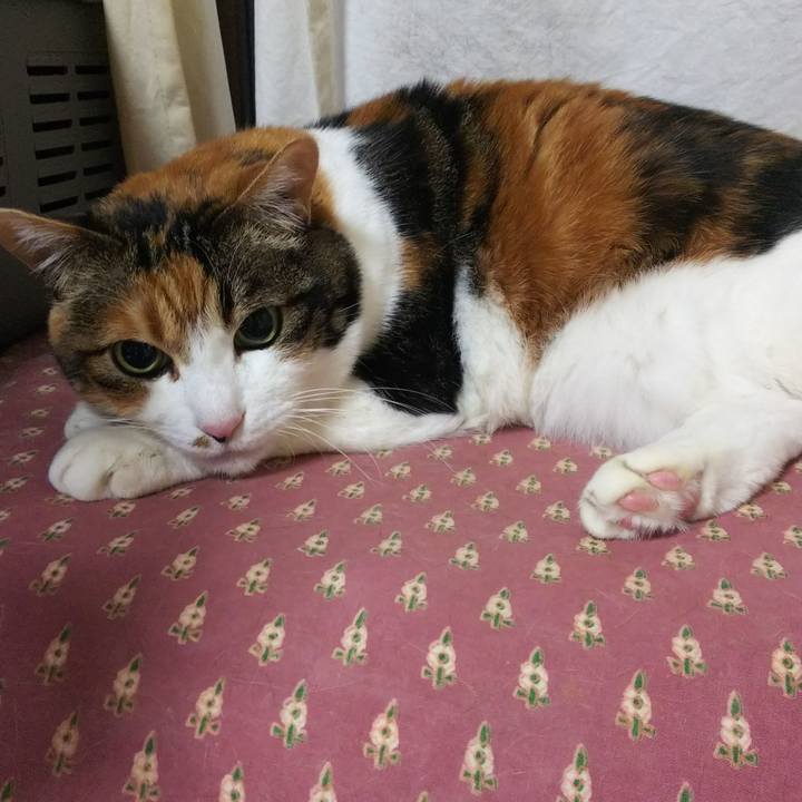 Ab1e6d3b db17 450f b49c 5597dde5d3db 1548971361560