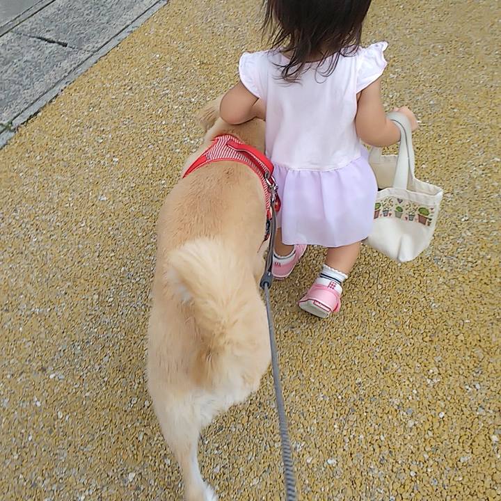 Ab1e6e3b 1d0f 4a14 b573 775e8def0141 1536386975625