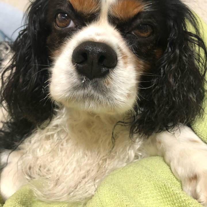 Ab1e829d f369 438c b921 d2f6ddb5ae91 1530625364285