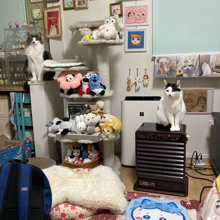 Ab1e9063 507a 433a a2f8 7c6c995da056 1767449994818