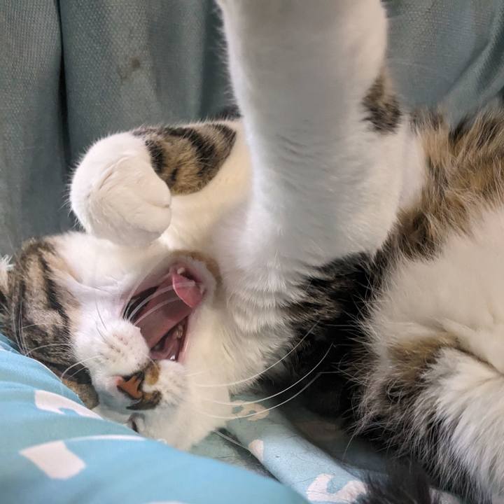 Ab1ecc29 dbf6 4db9 b2ff ba97d4ab7a63 1716709661984