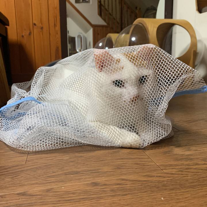 Ab1ee796 b42d 4c74 a362 b47aa188ff65 1655907246506