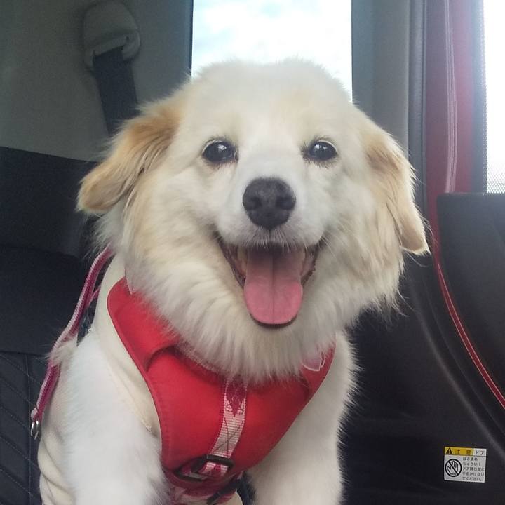 Ab1eee45 f290 4532 9654 75684de0c17f 1631355418577