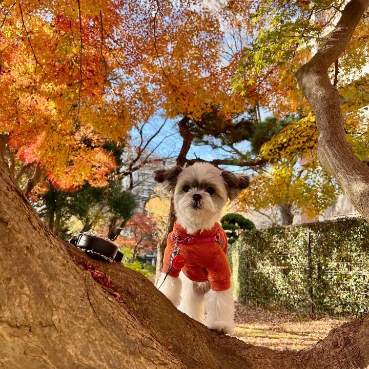 Ab1f1774 e204 4e36 a6c7 3641dad00256 1670573671159