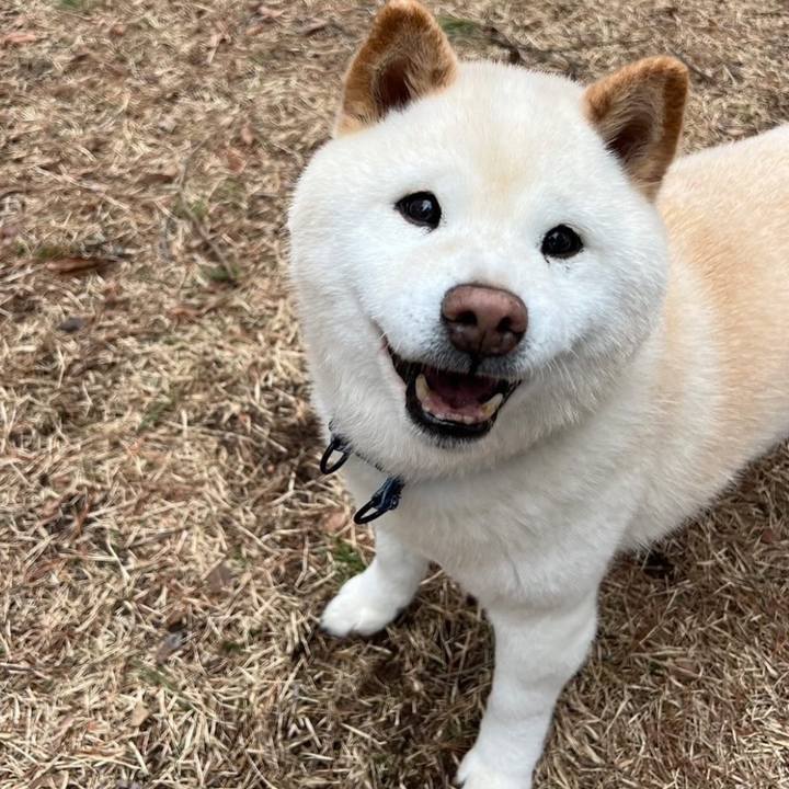 Ab1f19a7 b649 4a36 aa2f 584655d52b97 1730911182791