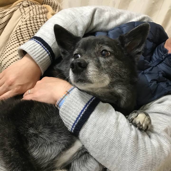 Ab1f21d0 30e0 43b9 b8d1 3c7b02be1842 1520337821356