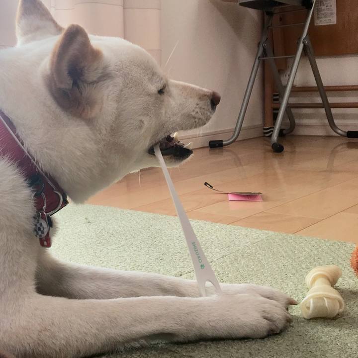 Ab1f2bc0 d071 44ef b12a fdbd729a79cf 1516020850994