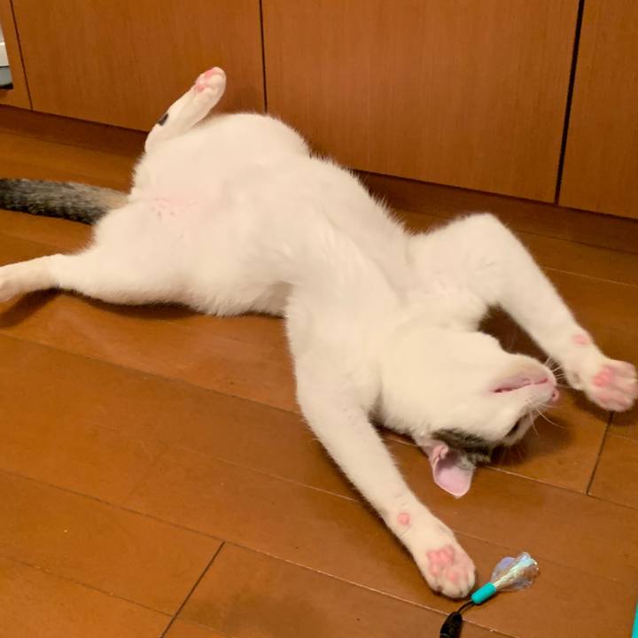 Ab1f391e 5a7c 4f7a 92c2 624096cbf9a6 1615975413140