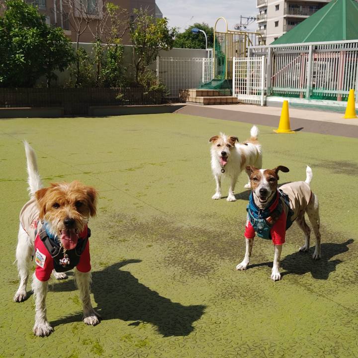 Ab1f486e ab97 4ea0 9006 538b9776a3cd 1726753666726