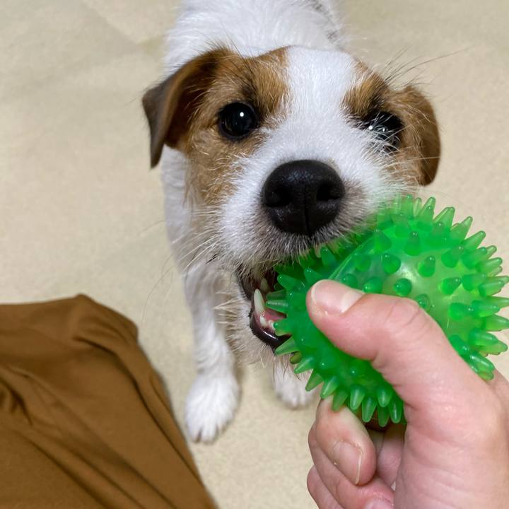 Ab1f4e03 e108 470c 8440 828c4721a188 1665577917710