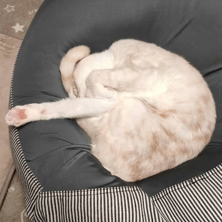 Ab1f5c57 2518 4ae7 8706 3a566d5571f7 1682503119643