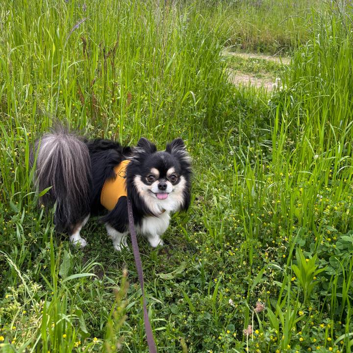 Ab1f6a29 5c87 440f 99f8 d55c0a90970d 1758854257669