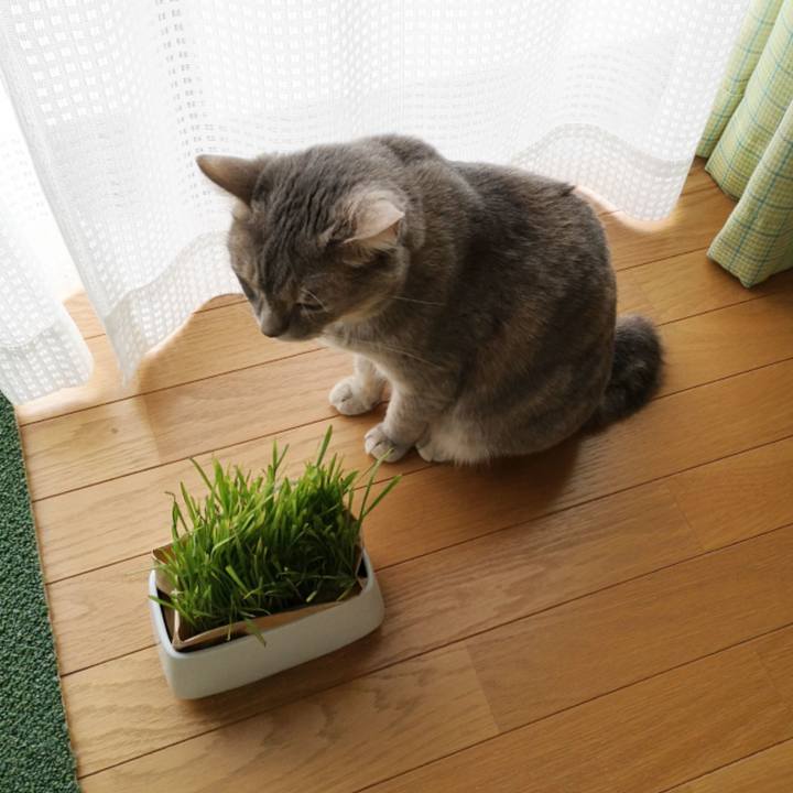 Ab1f6e69 bfac 413b 96a6 1377bb7b733a 1593489527897