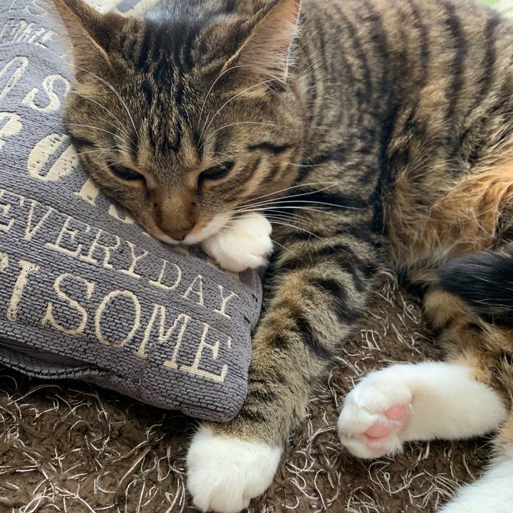 Ab1f7d3c b6d2 4c54 a7eb 3abc26922699 1551929839733