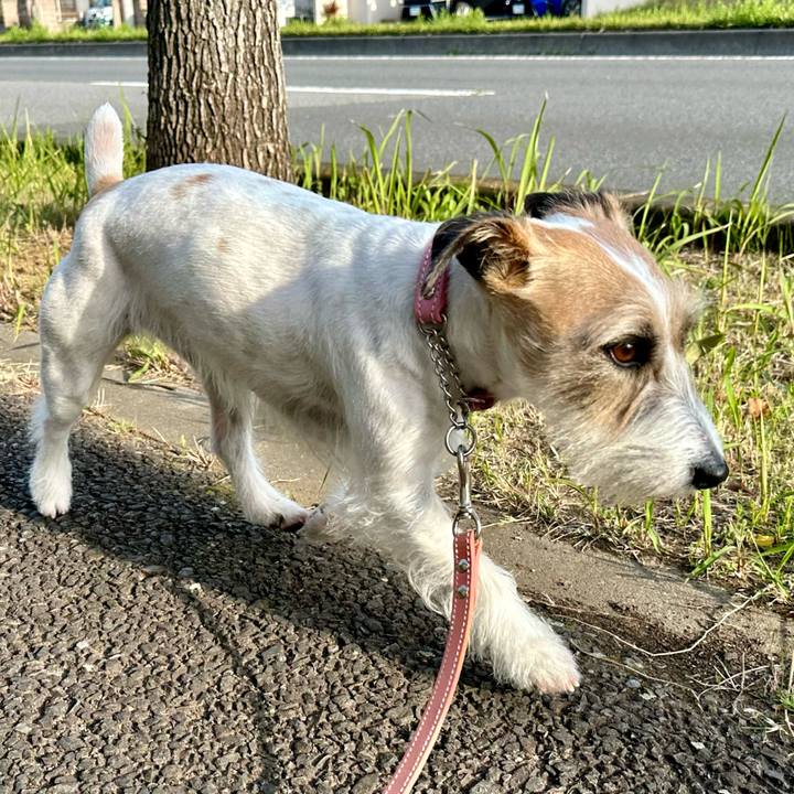 Ab1f8207 0657 4034 a23d 50935e519fc0 1713618764891