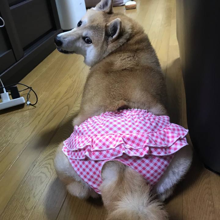 Ab1f90db 6456 432c a494 4f5a9477306d 1534120791412