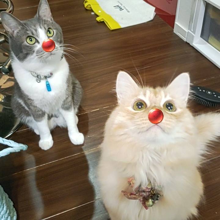 Ab1f9a57 e0a7 44e6 a45b b0fb91eca439 1691416281286