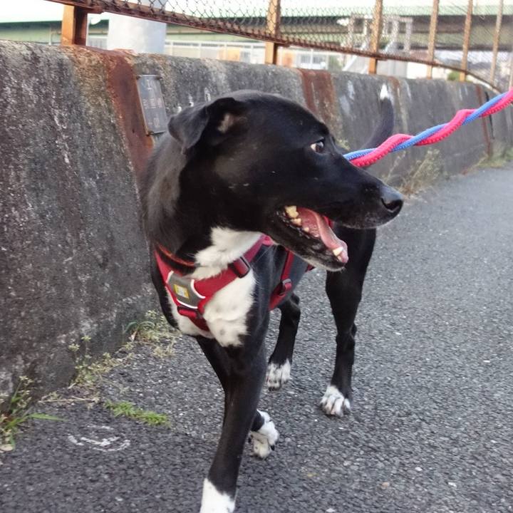 Ab1febd6 36fe 48cc a61d 26aacbfd3973 1587464268456