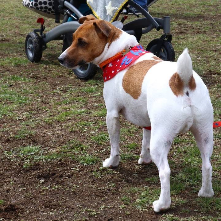 Ab1ffcd6 a5e9 49a8 8811 228a72d42b47 1555506490859