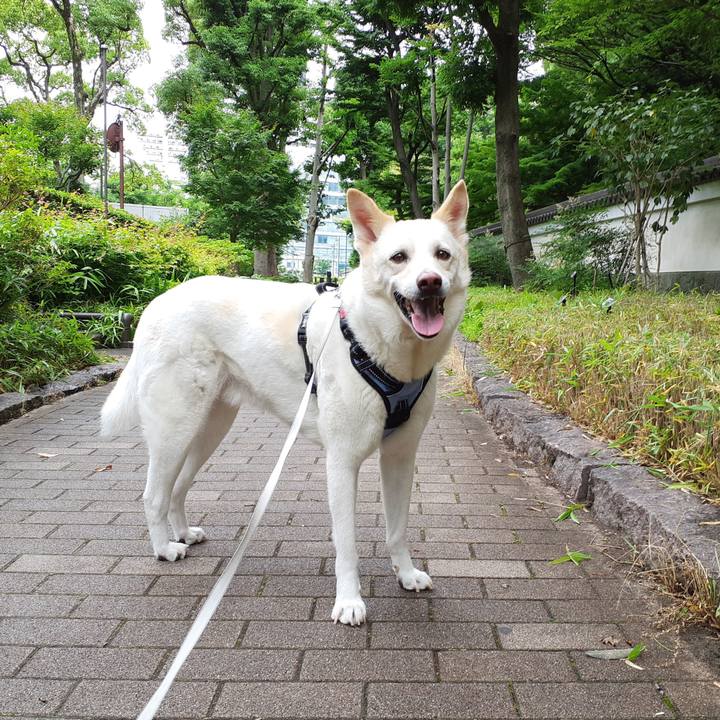 Ab207415 3749 4df2 9b3b 9f2ecb319266 1654993374464