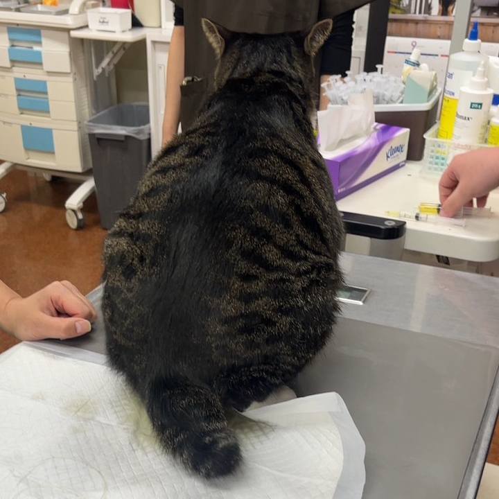 Ab208a11 cdb4 4e9f 83da 2b28c0c2e8b7 1761355573811