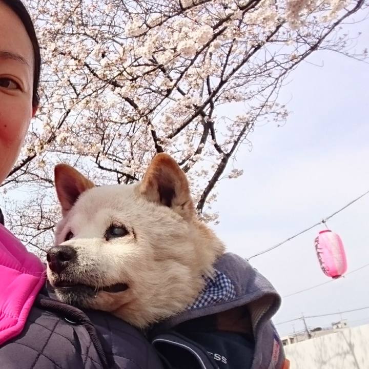 Ab20a861 83d5 47c6 9c7d cf75959df920 1584837464737