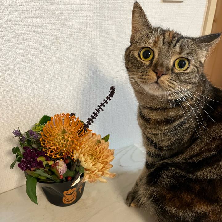 Ab20b365 b201 4b61 bbf0 e0a534bf0ebc 1675351020570