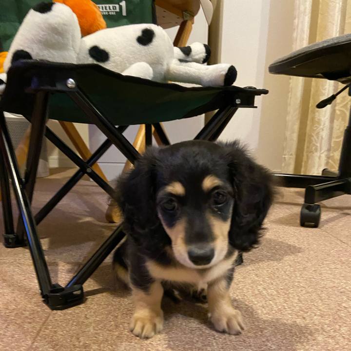 Ab21082b c966 4d16 b09d 3149990b60e1 1665181975789